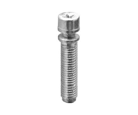 AUVECO 1/4-28 X 1'' Phillips Headlight Adjusting Screw - Zinc 3209